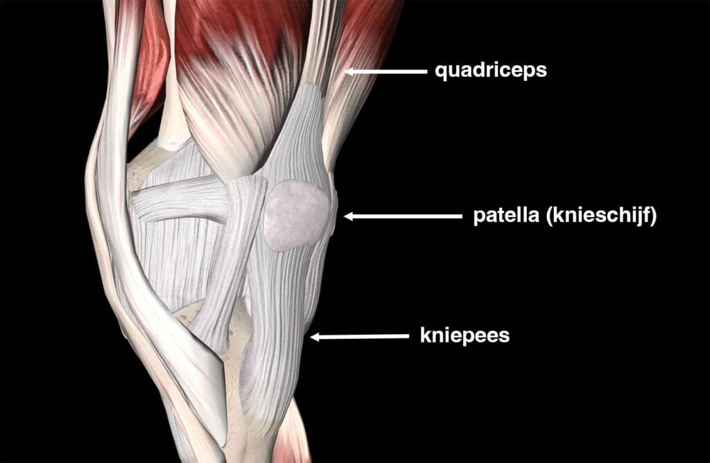 Jumpers knee